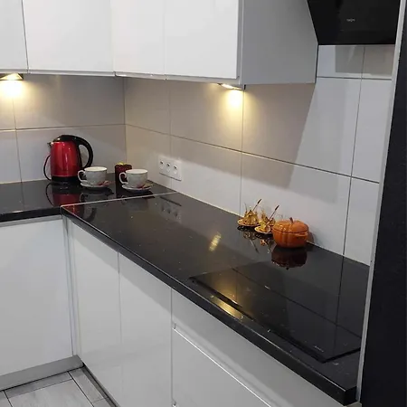 Ekskluzywny W Centrum Z Klimatyzacja I Balkonem * Lubiń