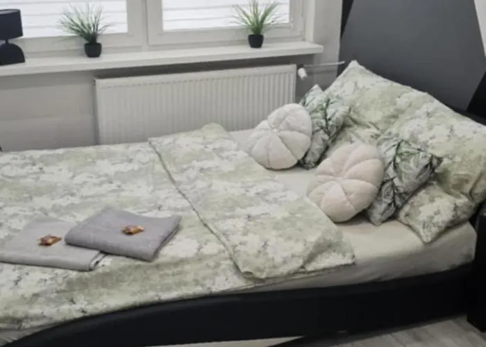 Ekskluzywny W Centrum Z Klimatyzacja I Balkonem Lubin (Lower Silesia)